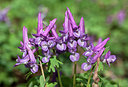 BUITEN BEELD Foto: 229785