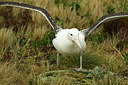 BUITEN BEELD Foto: 229810