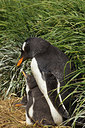 BUITEN BEELD Foto: 229814