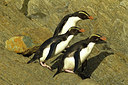BUITEN BEELD Foto: 229816