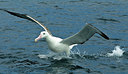 BUITEN BEELD Foto: 229817