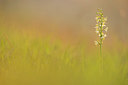BUITEN BEELD Foto: 229880