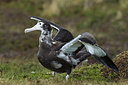BUITEN BEELD Foto: 229967