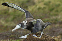 BUITEN BEELD Foto: 230028