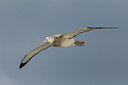 BUITEN BEELD Foto: 230032