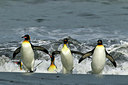BUITEN BEELD Foto: 230041