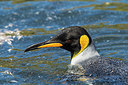 BUITEN BEELD Foto: 230044