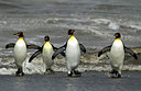 BUITEN BEELD Foto: 230096