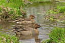 BUITEN BEELD Foto: 230101