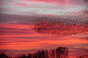 BUITEN BEELD Foto: 230108