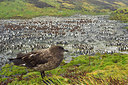 BUITEN BEELD Foto: 230196