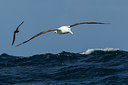 BUITEN BEELD Foto: 230304