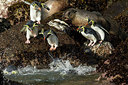 BUITEN BEELD Foto: 230382