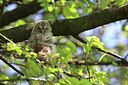 BUITEN BEELD Foto: 230389
