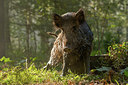 BUITEN BEELD Foto: 230421