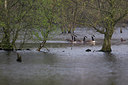 BUITEN BEELD Foto: 230461
