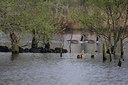 BUITEN BEELD Foto: 230462