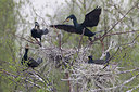 BUITEN BEELD Foto: 230512