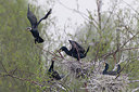 BUITEN BEELD Foto: 230514