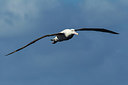 BUITEN BEELD Foto: 230558