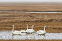 BUITEN BEELD Foto: 230569