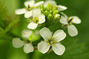 BUITEN BEELD Foto: 230574