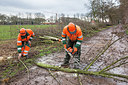 BUITEN BEELD Foto: 230579