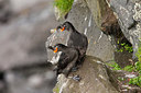 BUITEN BEELD Foto: 230596