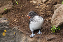 BUITEN BEELD Foto: 230603