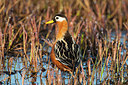 BUITEN BEELD Foto: 230655