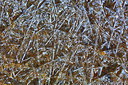 BUITEN BEELD Foto: 230663