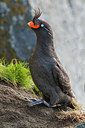 BUITEN BEELD Foto: 230667