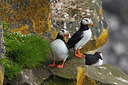 BUITEN BEELD Foto: 230669