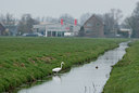 BUITEN BEELD Foto: 230764