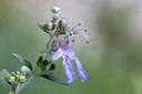 BUITEN BEELD Foto: 230824