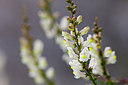 BUITEN BEELD Foto: 230833