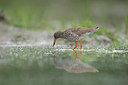 BUITEN BEELD Foto: 230873