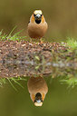 BUITEN BEELD Foto: 230893