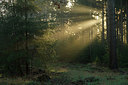 BUITEN BEELD Foto: 231148