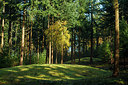 BUITEN BEELD Foto: 231186