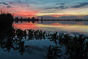 BUITEN BEELD Foto: 231194