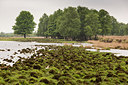 BUITEN BEELD Foto: 231212