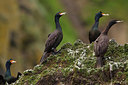 BUITEN BEELD Foto: 231267