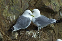 BUITEN BEELD Foto: 231282