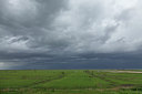 BUITEN BEELD Foto: 231374