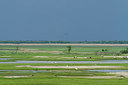 BUITEN BEELD Foto: 231384