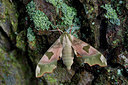 BUITEN BEELD Foto: 231423
