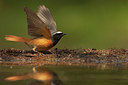 BUITEN BEELD Foto: 231432