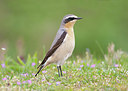 BUITEN BEELD Foto: 231452