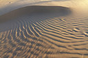 BUITEN BEELD Foto: 231495